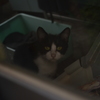 子育て中