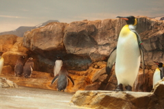 水族館