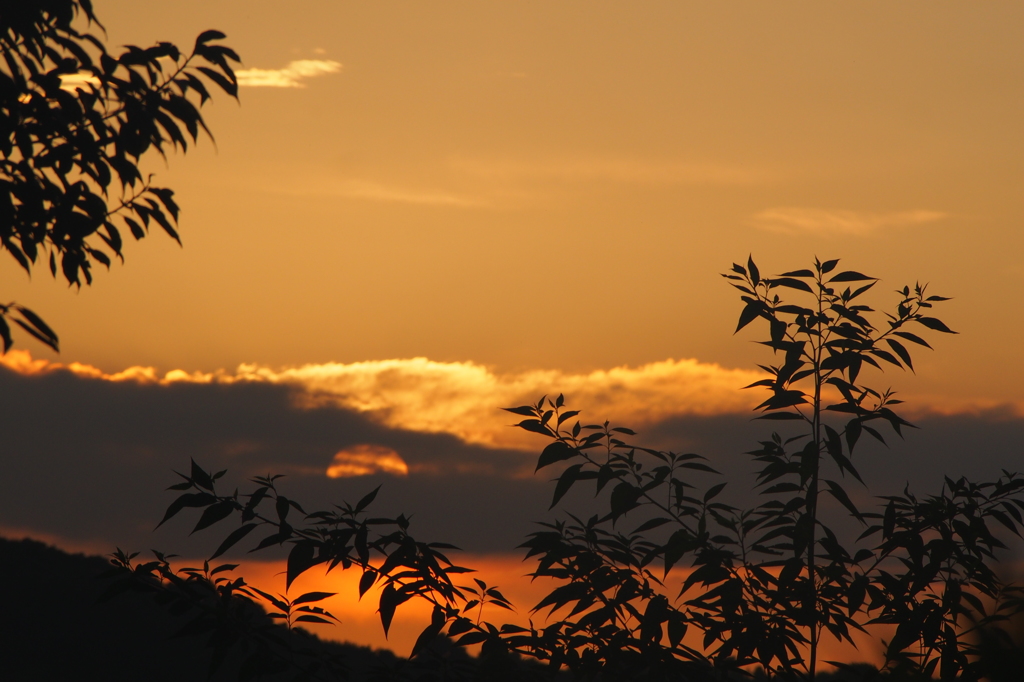 夕焼け