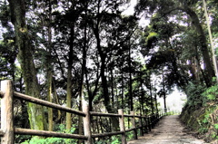 散歩道
