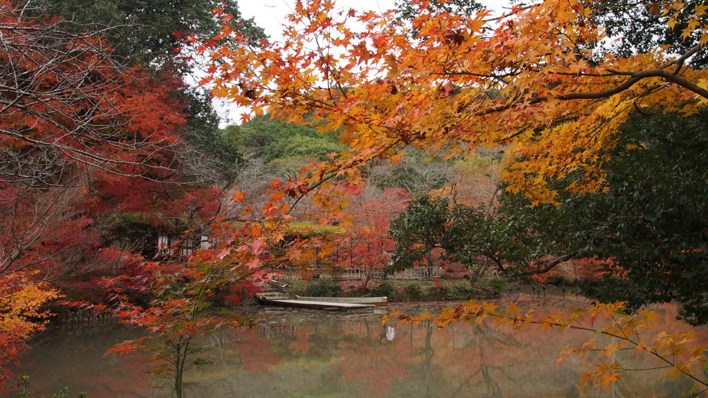 紅葉事変