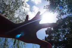 てーのひらをー太陽にー♪