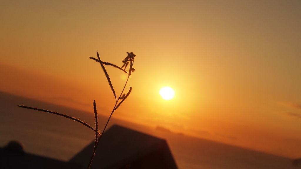 夕焼け