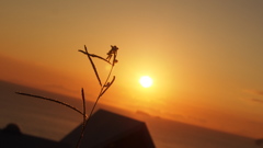 夕焼け