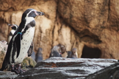 水族館
