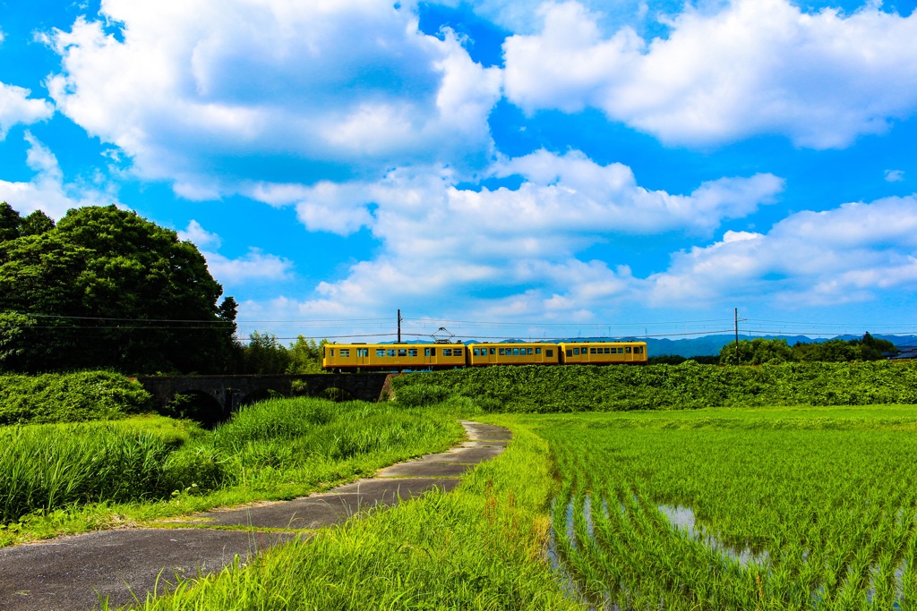 田舎道と電車