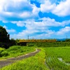 田舎道と電車