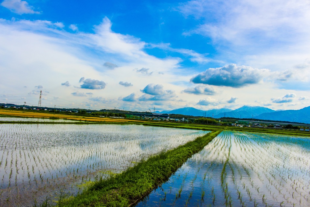 田園風景