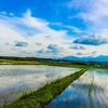 田園風景