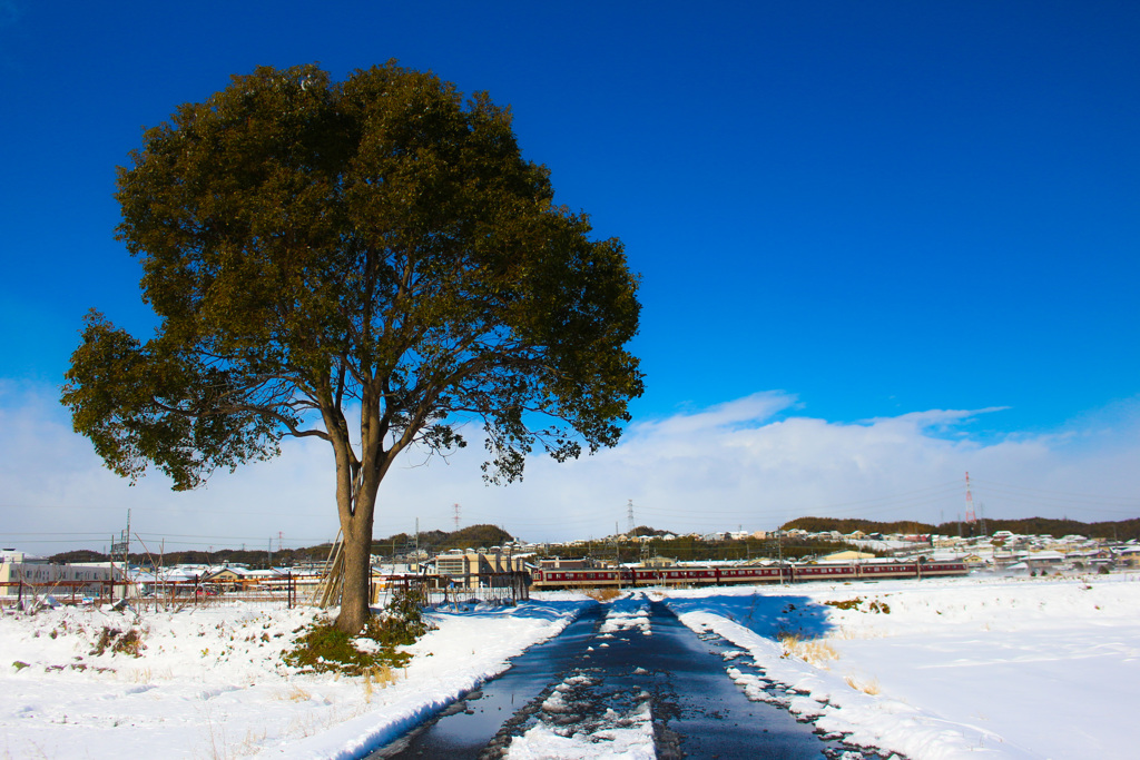 雪景色