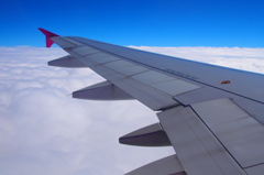 飛行機から