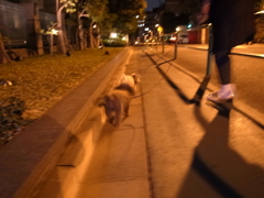 一番町界隈-0022