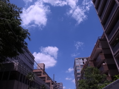 一番町界隈-0030