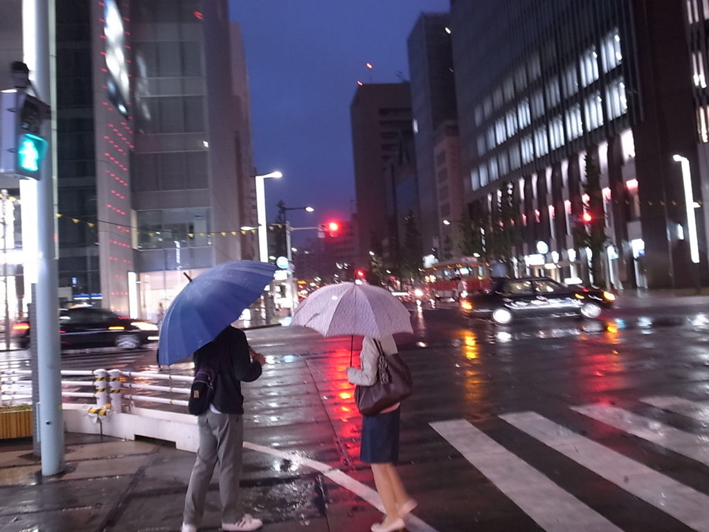雨の京橋-0009