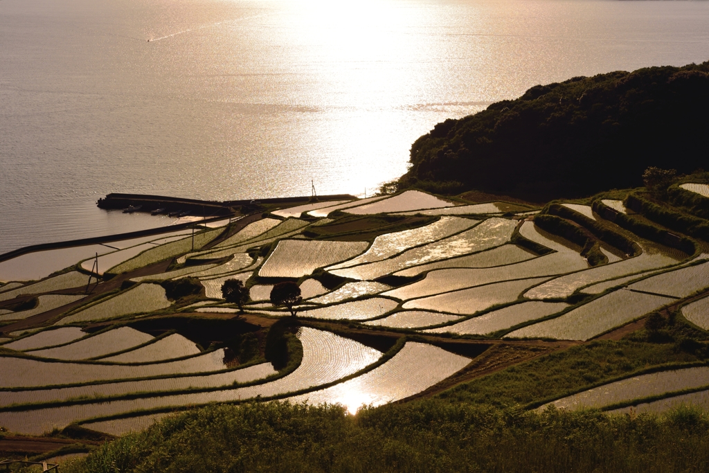 土谷　棚田