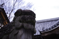 狛犬