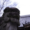 狛犬