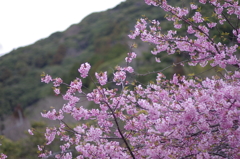 蔵出し