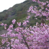 蔵出し