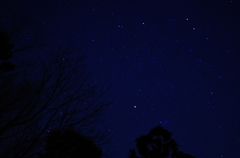 千葉の星