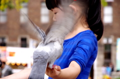 鳩使い
