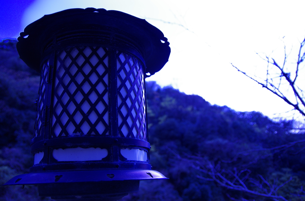 _IGP0561 (1)