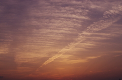 夕暮れ