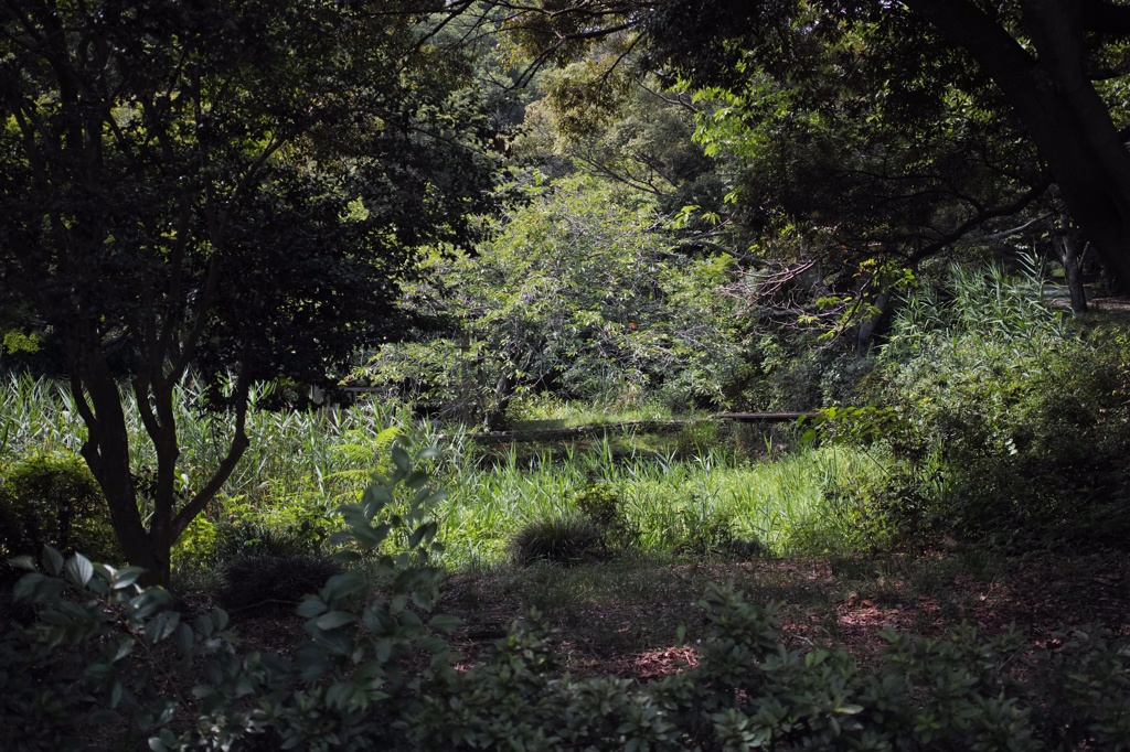 佐鳴湖公園2