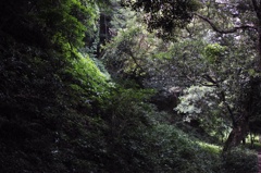 佐鳴湖公園