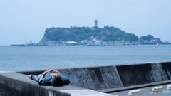 休みの日には何しよう？