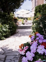 花のある風景