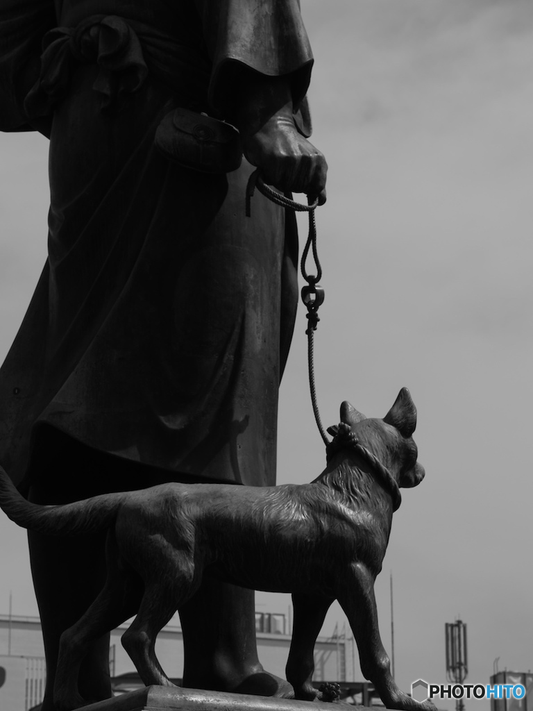 西郷隆盛の犬 つん By Masaru Tokyo Id 写真共有サイト Photohito