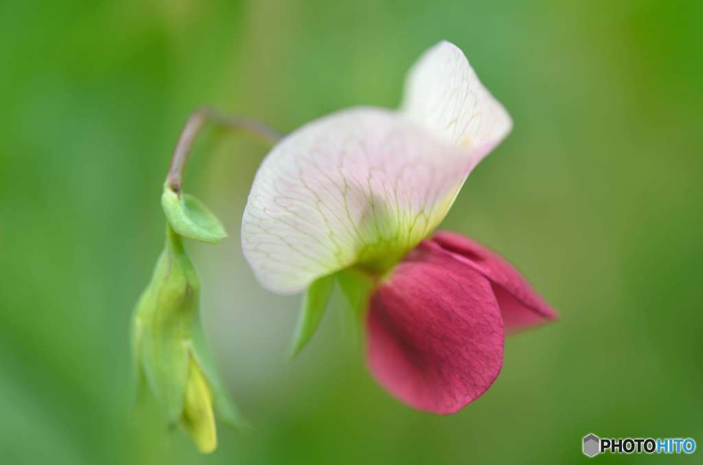 DSC_6763_01