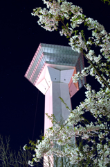 夜の五稜郭タワー
