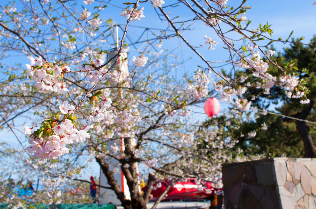 函館公園