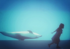 イルカと少女