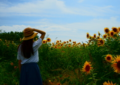 夏空