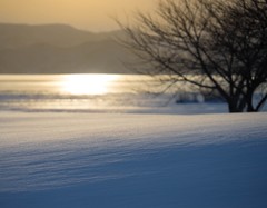 雪景