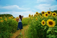 夏空2
