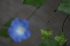 ひそかに