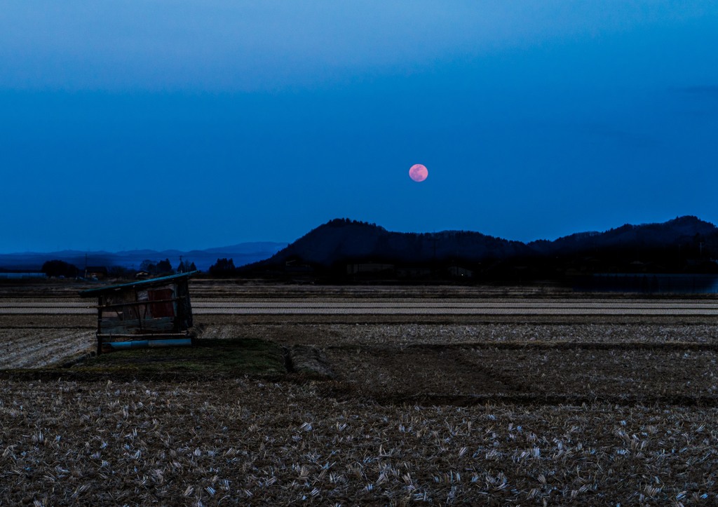 田園の月