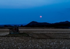 田園の月