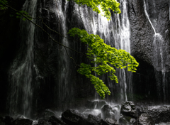静寂