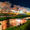 私の町の夜桜参
