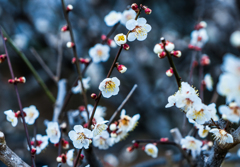 20170326-DSC01449