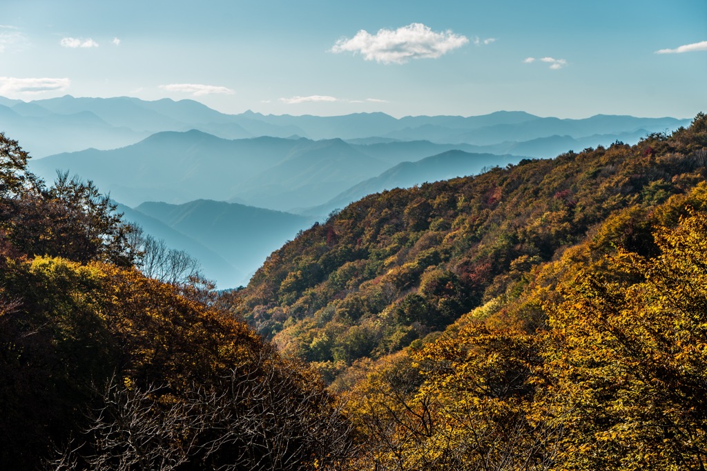 山波