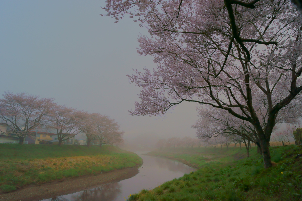 石川町桜谷3