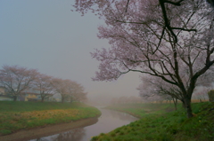 石川町桜谷3
