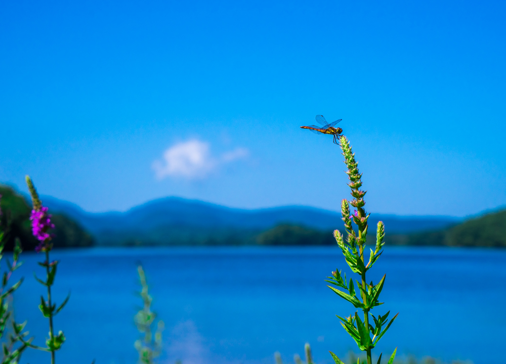 水辺の青空2