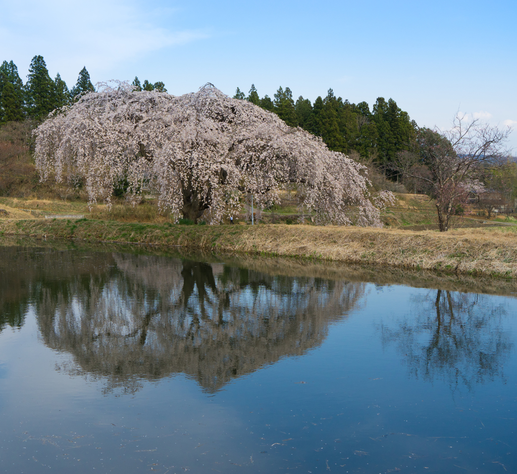 晴天の水辺